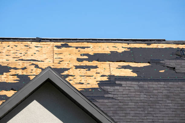 Find the Best Roofing Company Near Me for Lasting Solutions