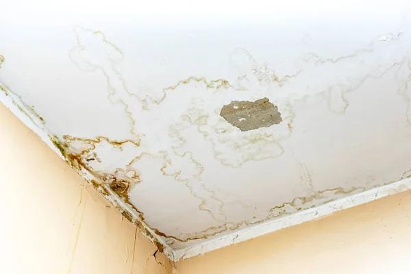 Dealing with Burst Pipes? Water Damage Restoration in College Station