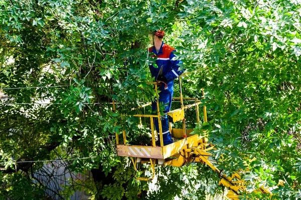 Emergency Sewer Line Repair You Can Trust