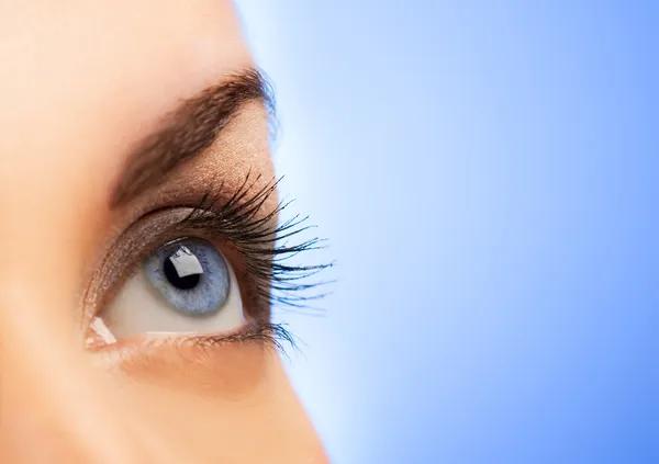 Full-Scope Optometry Contact Lenses Eyeglasses and Specialty Care in Houston