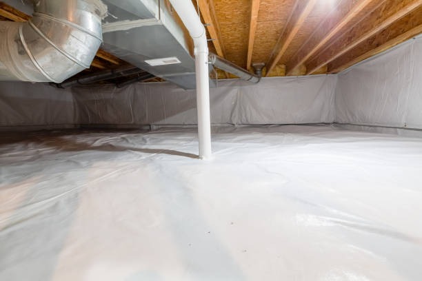 Expert Crawlspace Waterproofing in Wilmington for Moisture Control