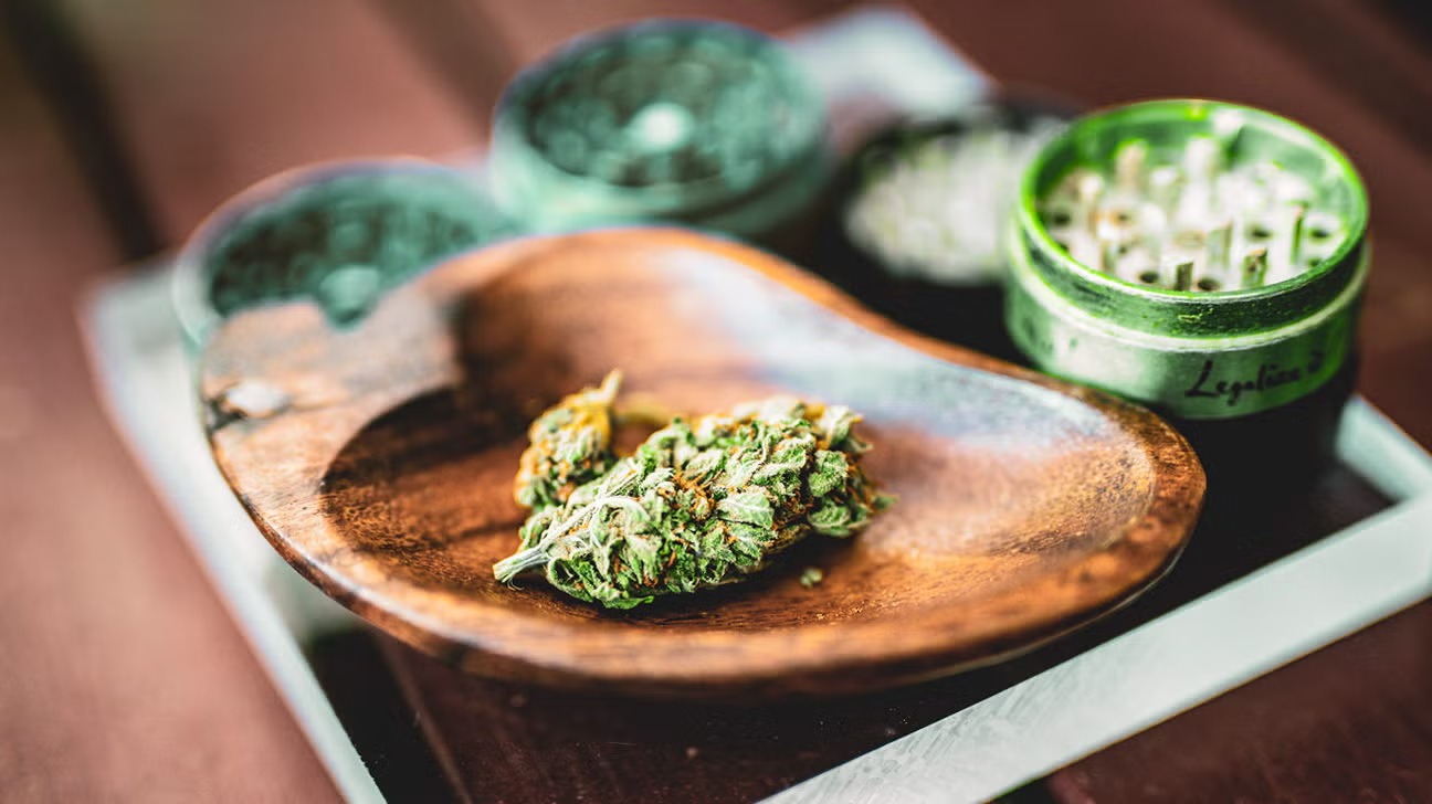 Discover Expert Cannabis Discussions on Wiet Forum for Better Knowledge